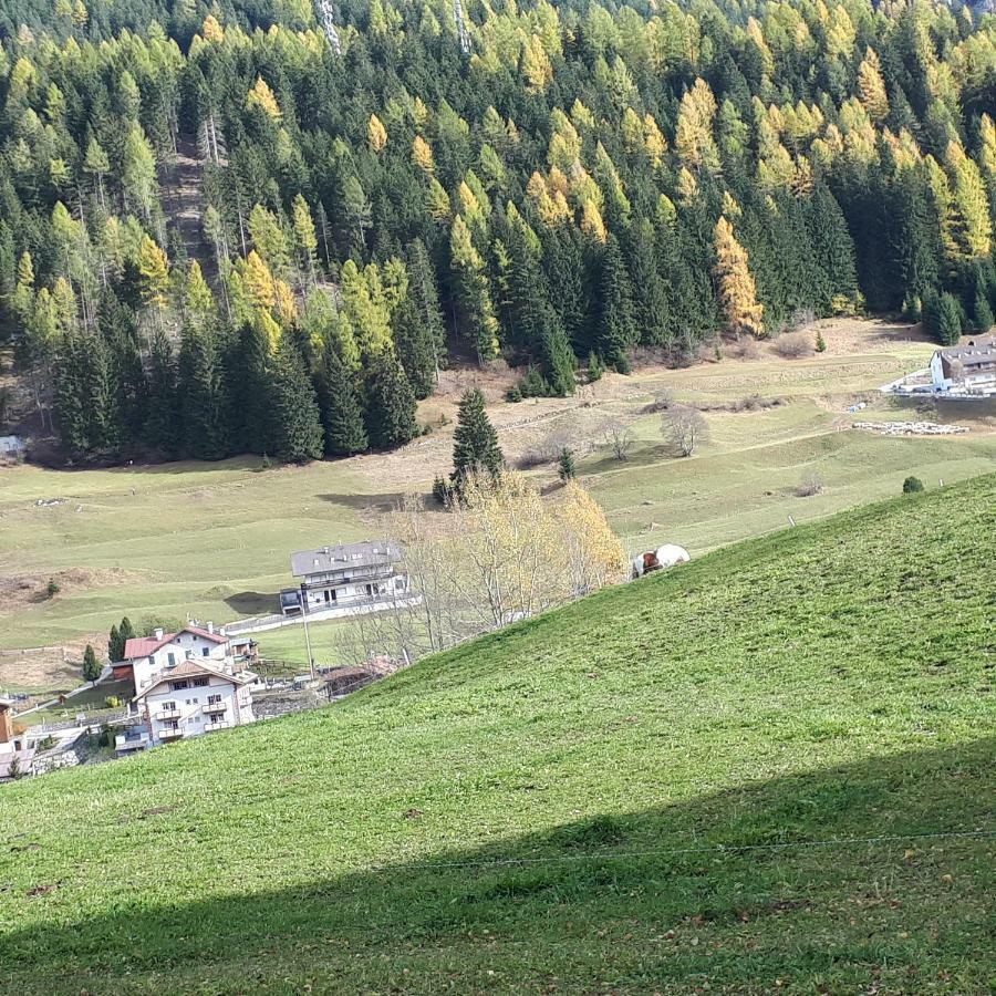 Casa Con Vista A Moena Daire Dış mekan fotoğraf